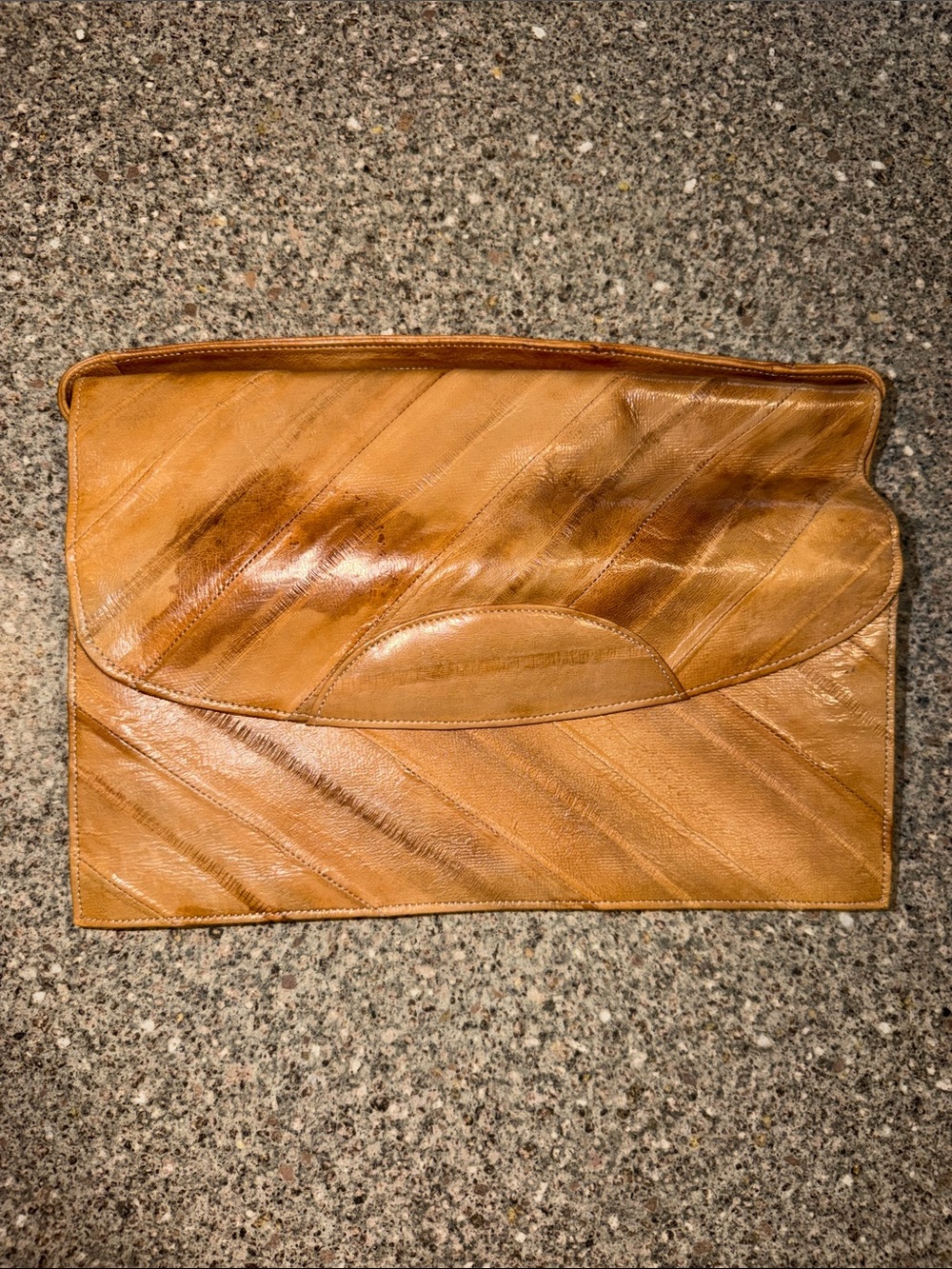 Eel Skin clutch purse